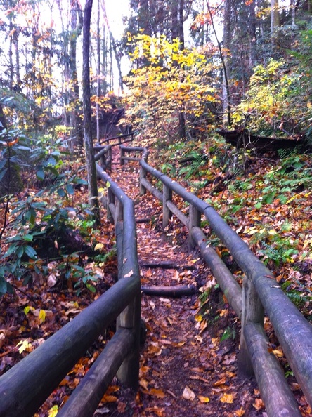 Natural Bridge State Park